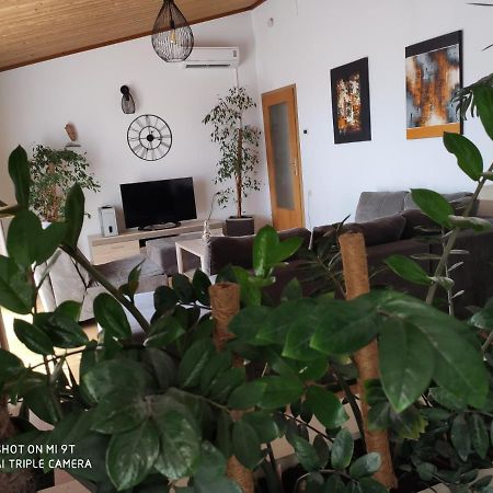 Apartment Burich マカルスカ エクステリア 写真