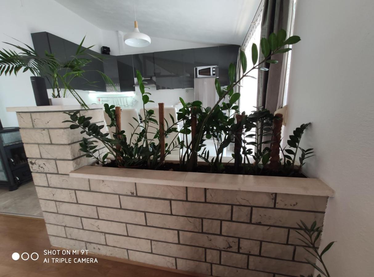 Apartment Burich マカルスカ エクステリア 写真